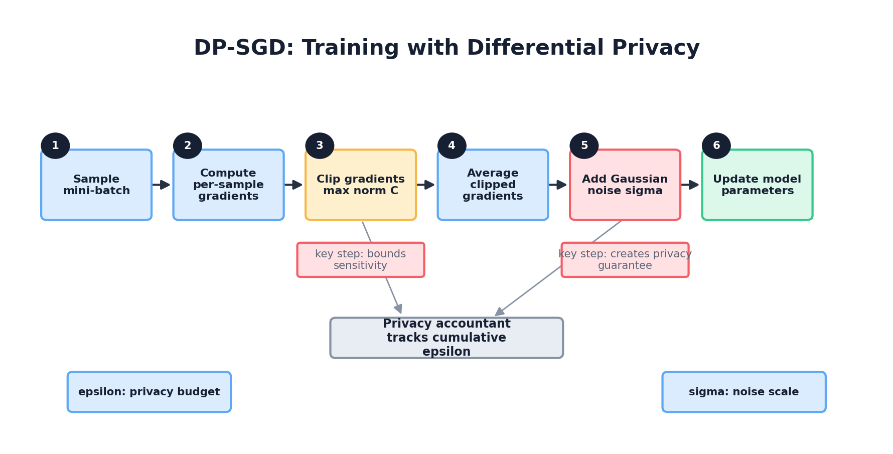 DP-SGD training loop: compute gradients, clip, average, add noise, update parameters